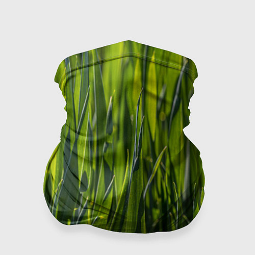 Бандана Ландшафт зелень / 3D-принт – фото 1