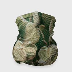 Бандана Поле кактусов