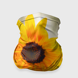 Бандана-труба Подсолнухи, цвет: 3D-принт