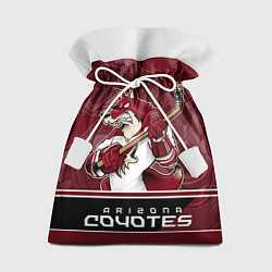 Подарочный мешок Arizona Coyotes