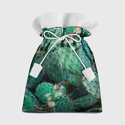 Мешок для подарков Кактусы с цветами реализм, цвет: 3D-принт