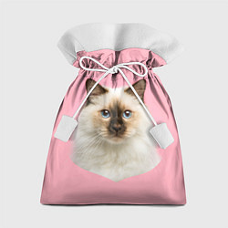 Мешок для подарков Пушистый кот, цвет: 3D-принт