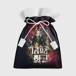 Мешок для подарков Nam On-Jo, цвет: 3D-принт