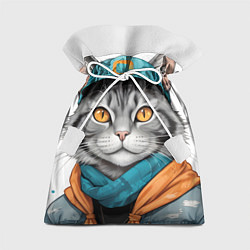 Подарочный мешок Городской кот