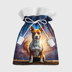 Подарочный мешок Басенджи в космосе