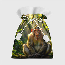 Подарочный мешок Лесная обезьянка