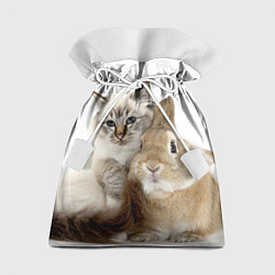 Подарочный мешок Кот и кролик пушистые