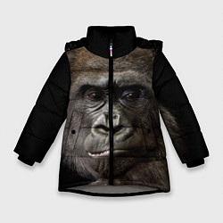 Куртка зимняя для девочки Глаза гориллы, цвет: 3D-светло-серый