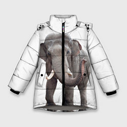 Зимняя куртка для девочки Большой слон