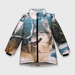 Куртка зимняя для девочки Волк и снег, цвет: 3D-светло-серый