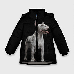 Куртка зимняя для девочки Bully, цвет: 3D-светло-серый