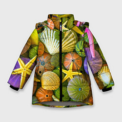 Куртка зимняя для девочки Композиция из морских звёзд и ракушек, цвет: 3D-светло-серый