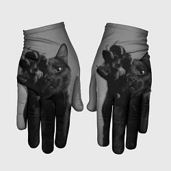 Перчатки Черный котик цвета 3D-принт — фото 1