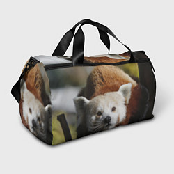 Спортивная сумка Красная панда ждёт