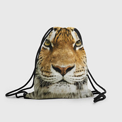 Мешок для обуви Амурский тигр