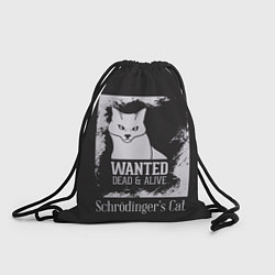 Мешок для обуви Wanted Cat