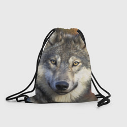 Рюкзак-мешок Улыбка волка, цвет: 3D-принт