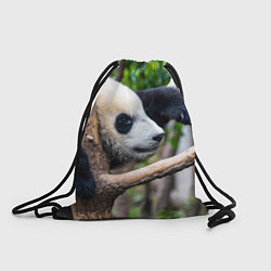 Рюкзак-мешок Бамбуковый медведь, цвет: 3D-принт