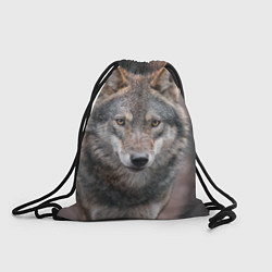 Рюкзак-мешок Волк - санитар леса, цвет: 3D-принт