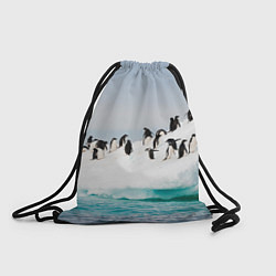 Рюкзак-мешок Пингвины на айсберге, цвет: 3D-принт
