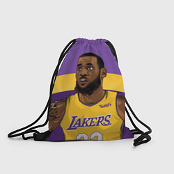 Мешок для обуви LeBron 23: Lakers