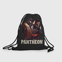 Мешок для обуви Pantheon