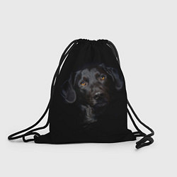 Рюкзак-мешок Пес, цвет: 3D-принт