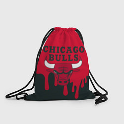 Мешок для обуви Chicago Bulls