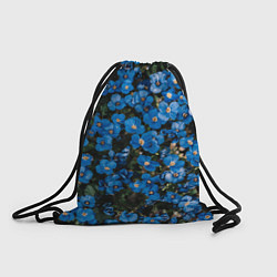 Рюкзак-мешок Поле синих цветов фиалки лето, цвет: 3D-принт