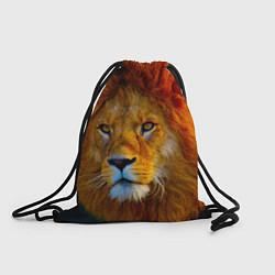 Рюкзак-мешок Лев 3D, цвет: 3D-принт