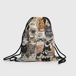 Рюкзак-мешок Котики смешные, цвет: 3D-принт