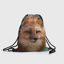 Рюкзак-мешок Строгая лисица, цвет: 3D-принт