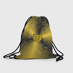 Рюкзак-мешок Кот на фоне АПВ 6 2 3 9, цвет: 3D-принт
