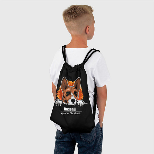 Мешок для обуви Басенджи Basenji / 3D-принт – фото 4