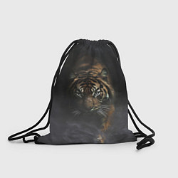 Рюкзак-мешок Тигр в тумане, цвет: 3D-принт