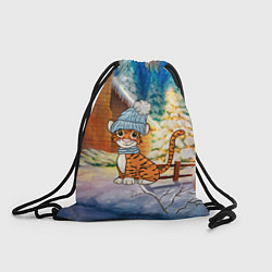 Рюкзак-мешок Тигренок на фоне зимнего дома, цвет: 3D-принт