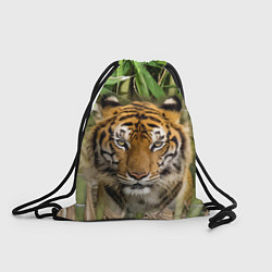 Рюкзак-мешок Матёрый тигр в зарослях бамбука, цвет: 3D-принт
