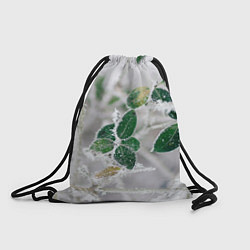 Рюкзак-мешок Green winter, цвет: 3D-принт