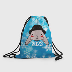Рюкзак-мешок Кролик в шляпе 2023, цвет: 3D-принт