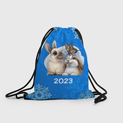 Мешок для обуви Влюбленные кролики 2023