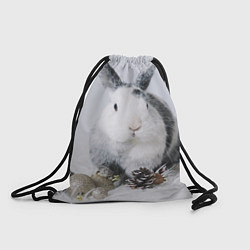Рюкзак-мешок Кролик с шишками и игрушками, цвет: 3D-принт