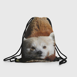 Рюкзак-мешок Красная панда ждёт, цвет: 3D-принт