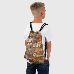 Рюкзак-мешок Коллаж из сказочных зверей - совы, белки, ёжики, цвет: 3D-принт — фото 2