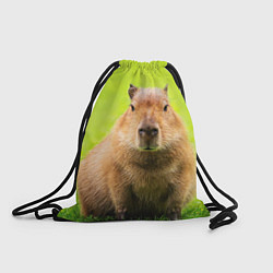 Рюкзак-мешок Capybara on green grass, цвет: 3D-принт