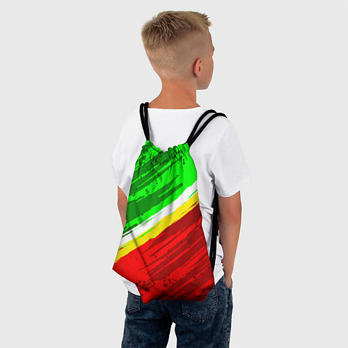 Мешок для обуви Расцветка Зеленоградского флага / 3D-принт – фото 4