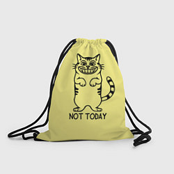 Рюкзак-мешок Хитрый кот, цвет: 3D-принт