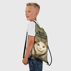 Рюкзак-мешок Мемный кот бу испугался, цвет: 3D-принт — фото 2