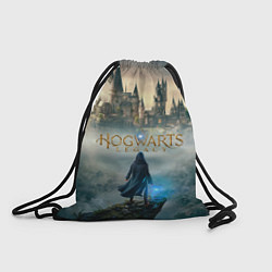 Рюкзак-мешок Герой Hogwarts legacy, цвет: 3D-принт