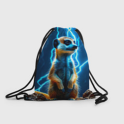 Мешок для обуви Сурикат в разрядах молний