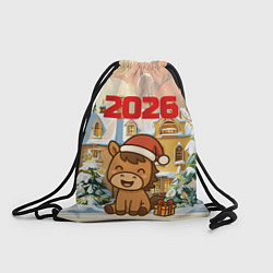 Мешок для обуви Лошадка с подарком 2026